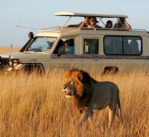 Kenya Customize Tour - Save Tours