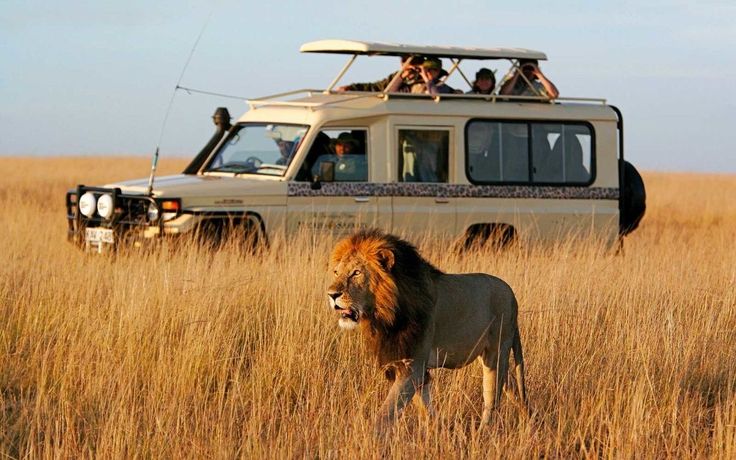 Kenya Customize Tour - Save Tours
